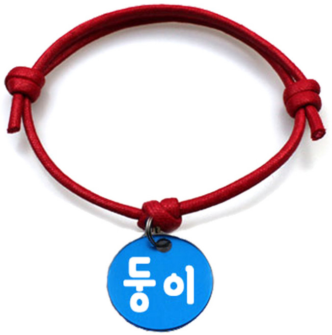 펫츠룩 굿모닝 레드 반려동물 목걸이 M + 알미늄원형 팬던트 S, 블루(둥이), 1개