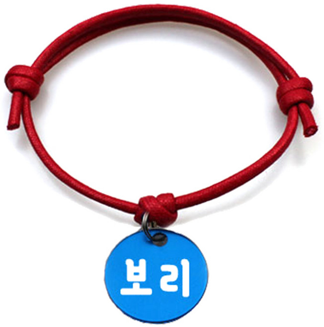 펫츠룩 굿모닝 레드 반려동물 목걸이 M + 알미늄원형 팬던트 S, 블루(보리), 1개