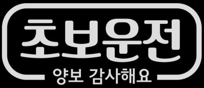 제제데코 심플라인 초보운전 스티커, 반사, 1개