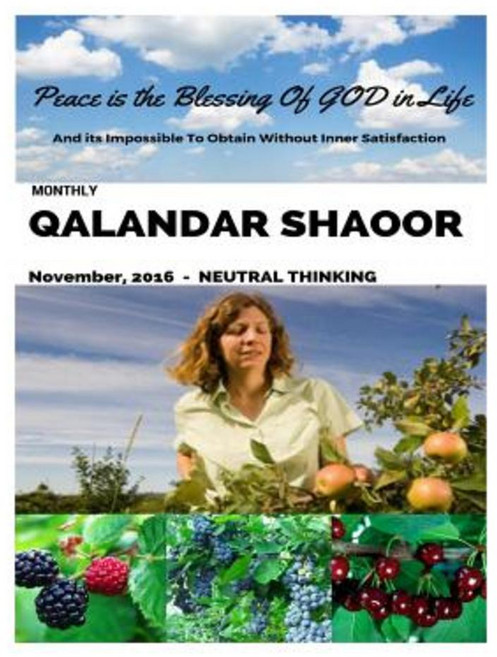 Monthly Qalandar Shaoor: November 2016 - Neutral Thinking Paperback, Createspace Independent Publishing Platform