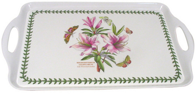 포트메리온 보타닉가든 뉴 서빙 트레이, 혼합색상, 1개