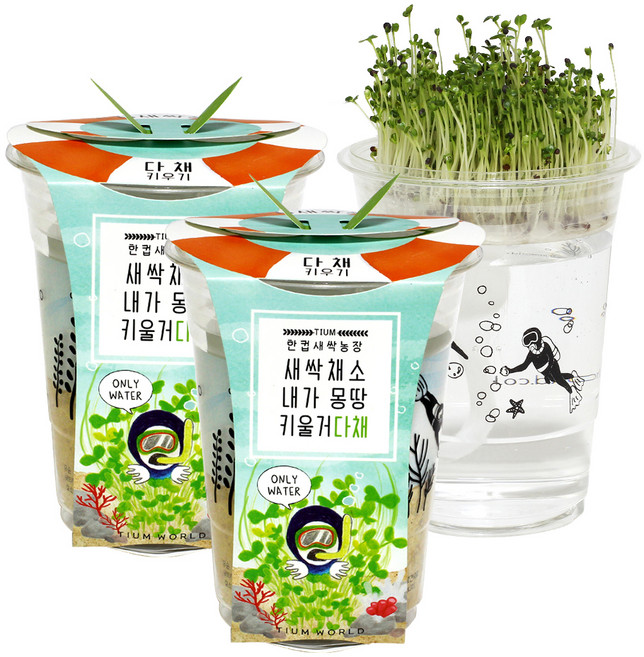 틔움세상 한컵새싹농장 다채 키우기, 2개입