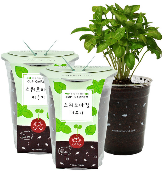 틔움세상 컵가든 DIY 씨드볼 키우기 2세트, 스위트바질