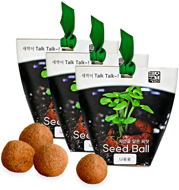 틔움세상 씨드볼 나팔꽃, 3개입