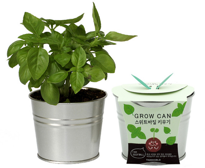 GROWCAN 식물 키우기 세트, 바질