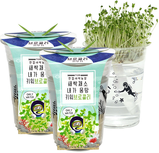 틔움세상 한컵새싹농장 키우기 2p, 브로콜리