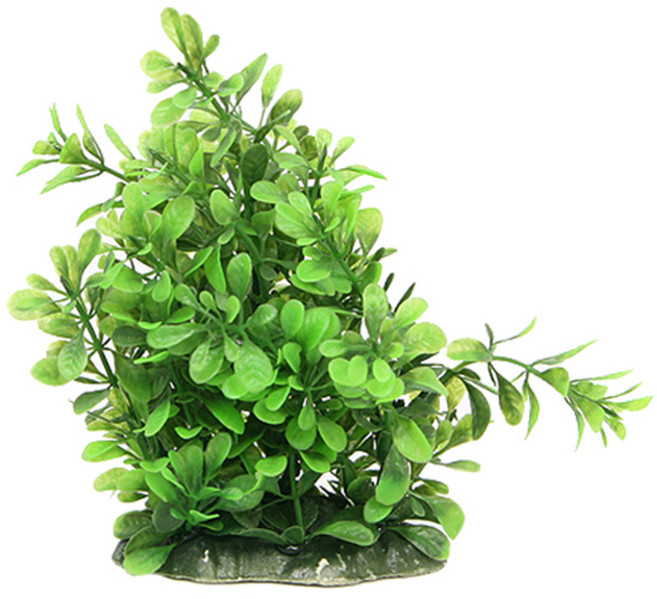 인조 수초 22152, 1개