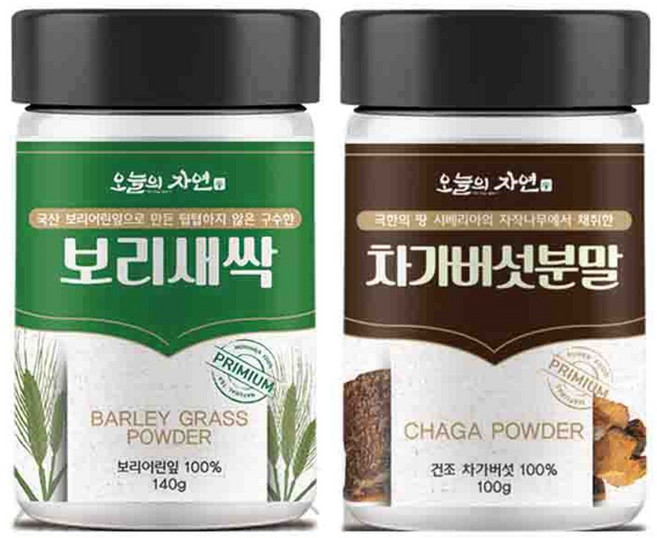 오늘의 자연 보리새싹 건강분말 140g + 차가버섯 100g, 1세트