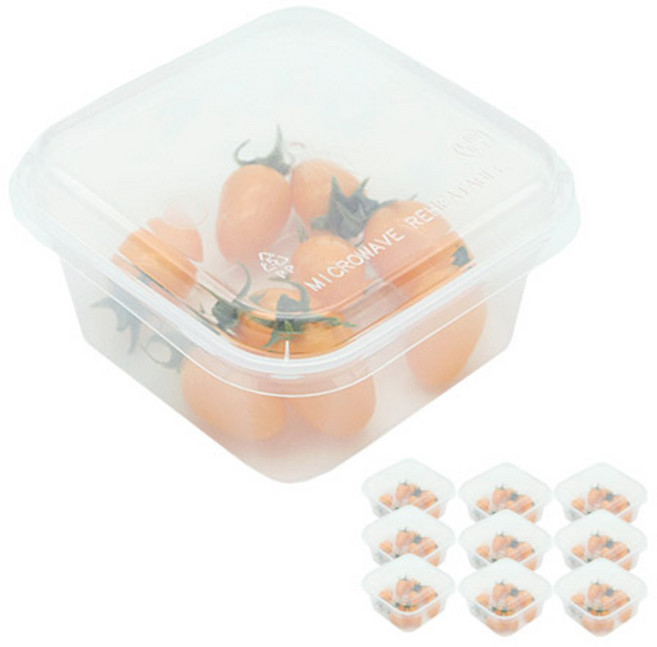 도나앤데코 PP내열 사각 일회용 도시락 450ml, 10개, 1세트