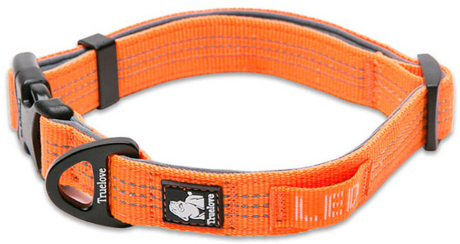 트루러브 반려견 목줄 오렌지 TLC5271, 본상품, 1개