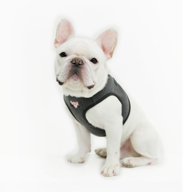핑크팬더 반려동물 베스트 하네스, 차콜