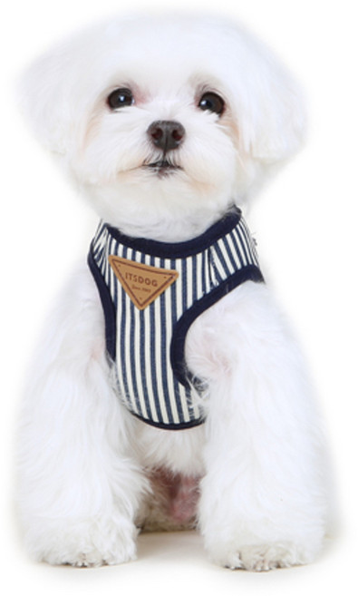 이츠독 데님 베스트 하네스, 스트라이프