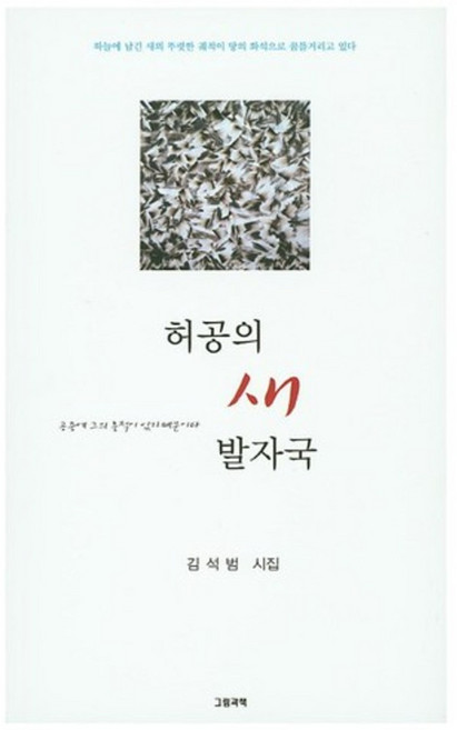 허공의 새 발자국:김석범 시집, 그림과책, 김석범 지음