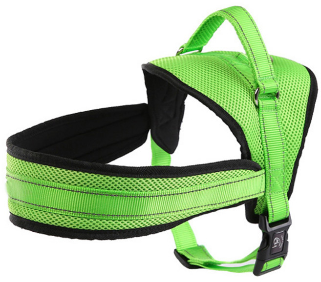 제제펫 심플컬러 매쉬 하네스, G378PDRH062