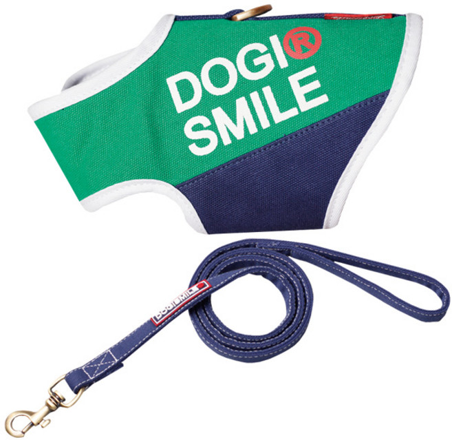 도기스마일 컴포터블 가슴줄세트 클래식, 그린, 1개