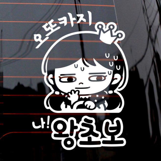 제제데코 오또카지 나 왕초보 자동차 스티커, 화이트, 1개