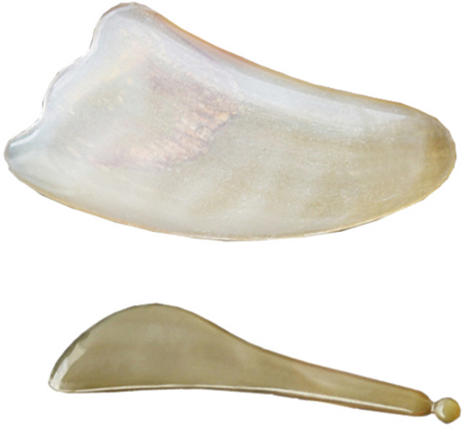 헬스플러스 괄사 패키지 BJ-05B + BJ-860, 1세트, 혼합 색상