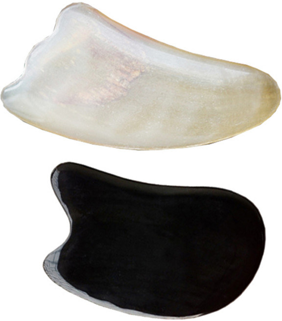 헬스플러스 괄사 패키지 BJ-05B + BJ-6015, 1세트, 혼합 색상