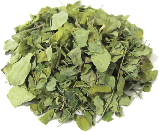 갑당약초 모링가잎 태국산, 300g, 1개