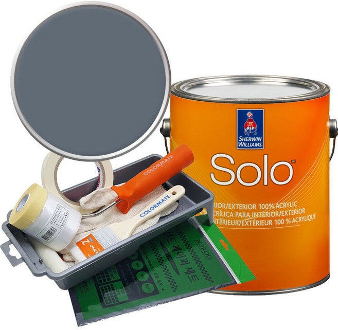 셔윈윌리암스 솔로 저광 페인트 세트, SW6250 Granite Peak, 1개