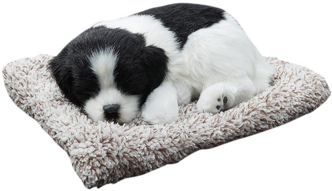 삼에스 활성탄 리얼 동물장식 인형 BIG, 보더콜리, 1개