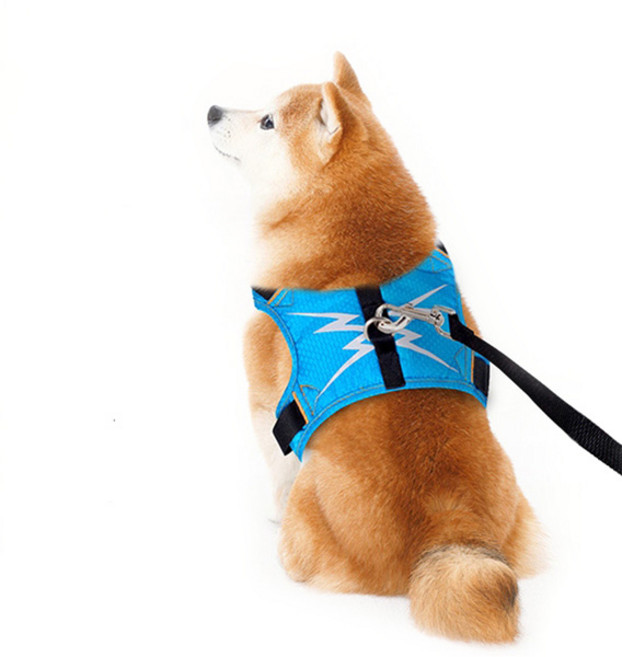 제제펫 반려동물 야광 에어 메쉬 하네스, Y405PDRH036, 1개