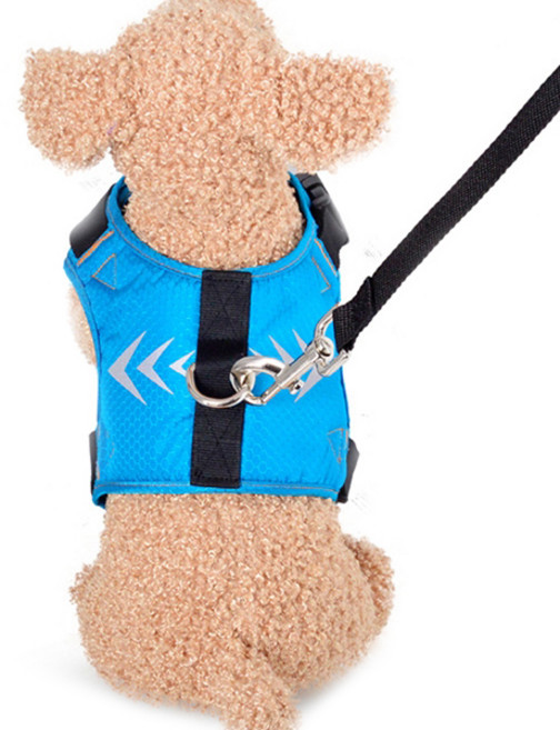 제제펫 반려동물 야광 에어 메쉬 하네스, Y405PDRH042, 1개