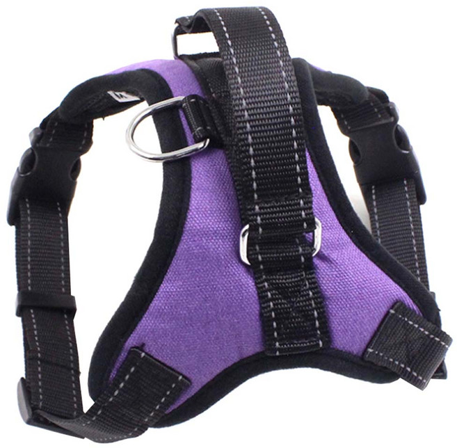 미들 패션 고양이 강아지 하네스, 퍼플, 1개