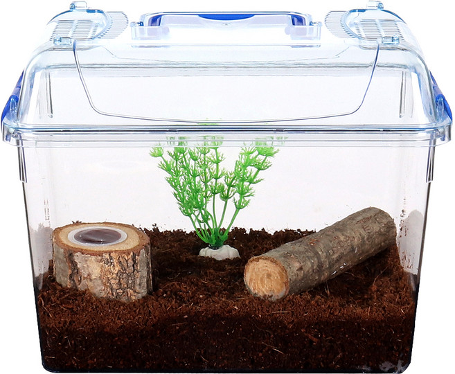 사필풍 사슴벌레 클린 초급자세트, 혼합색상, 1개