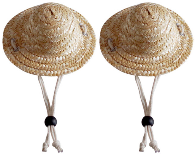 블럭마트 강아지 고양이 밀짚모자 2p, typeB