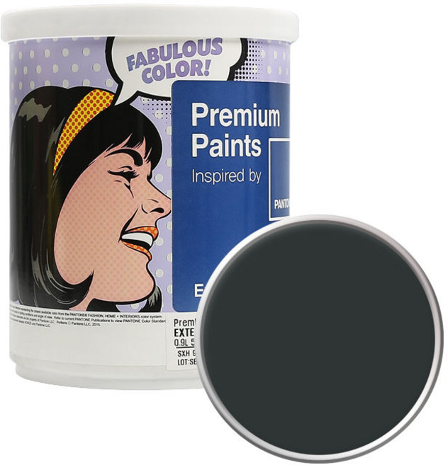 팬톤 외부용 저광 페인트, 194305PirateBlack, 1L, 1개
