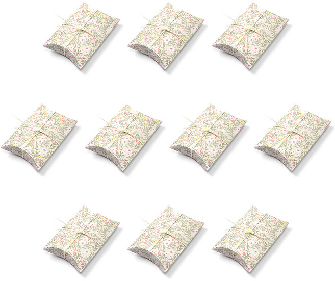 필립로지스틱 DIY 시크릿 가든 종이 상자, 10개입