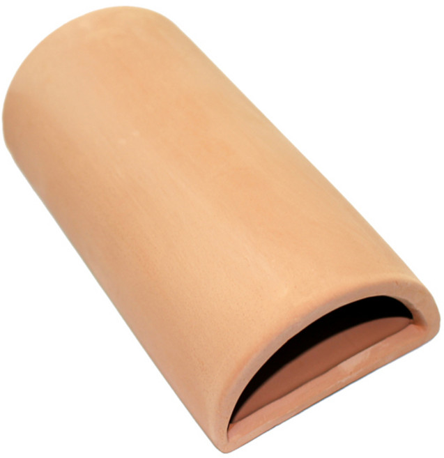 sam 반원 안시 열대어 산란상, 1개