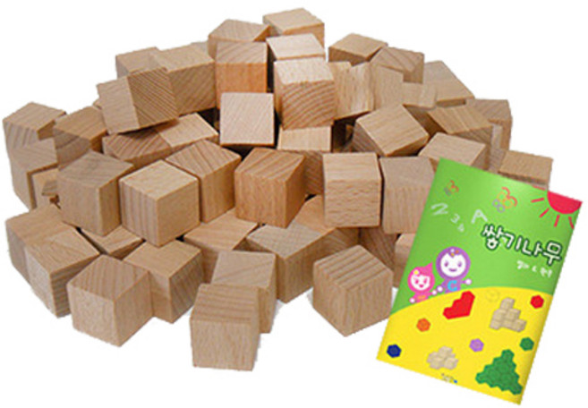 가베가족 큰솔 2.5cm 쌓기나무 100p + 미니북, 원목, 1개