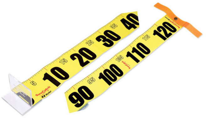 워터맨 EZ룰러 줄자, 혼합 색상, 1개