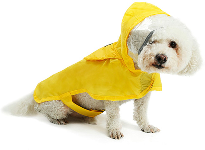 도그레미 펫츠랜드 판쵸형 반려견 레인코트, 옐로우, 1개