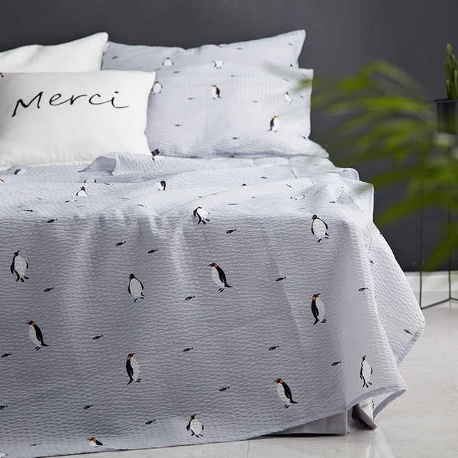 아이르 채피 홑이불, 그레이