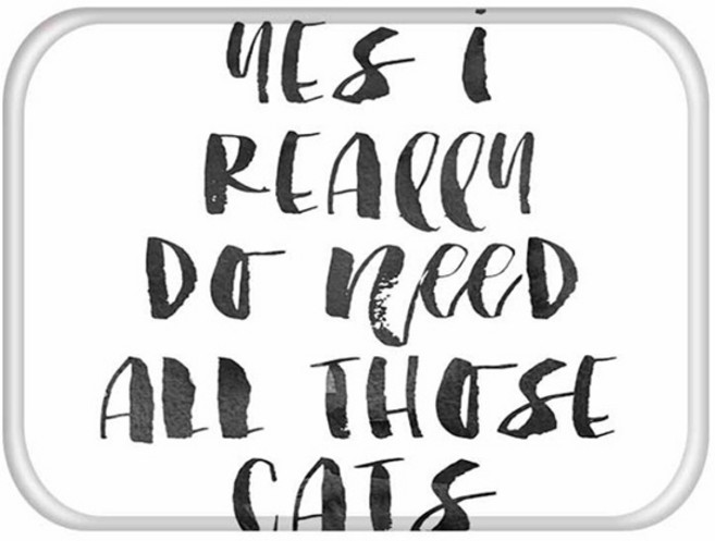 비케이 레터 발매트, 6