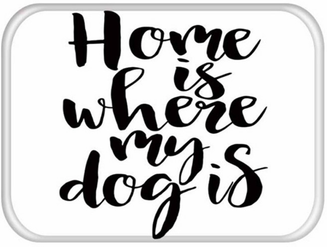 비케이 레터 발매트, 9