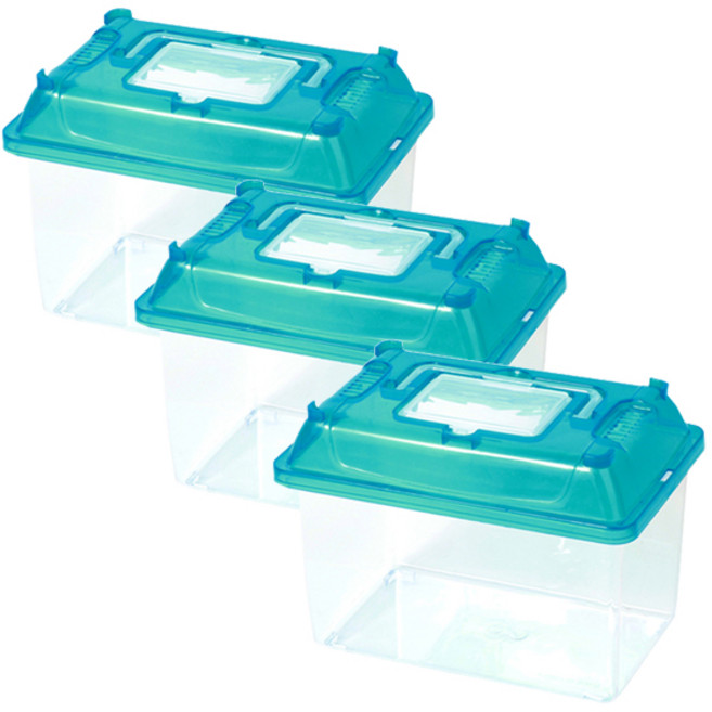 아쿠아선두 클린채집통 블루 S 180-C, 3개