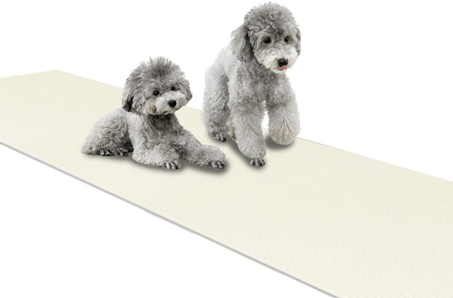 딩동펫 미끄럼방지 매트 롤형, 아이보리, 1개