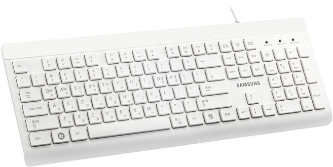 삼성전자 유선 일반형 키보드, 화이트, SPA-KKA1BUW