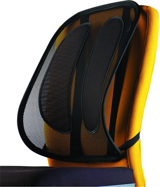 펠로우즈 오피스수트 메쉬 등받이쿠션, 혼합색상