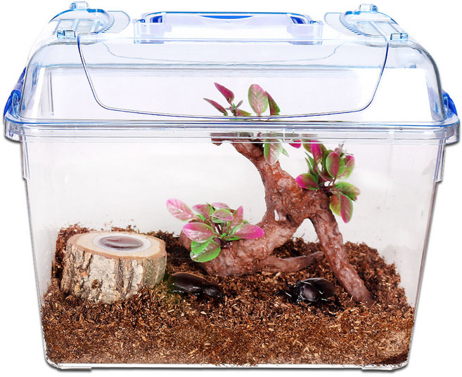 사필풍 클린대형 유목수초 장수풍뎅이 사육세트 A, 1세트