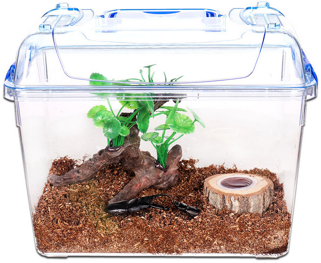 사필풍 넓적사슴벌레 클린 대형 유목수초 사육세트 B, 1세트