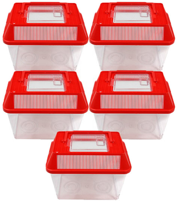 대일 사각채집통 소 레드, 5개