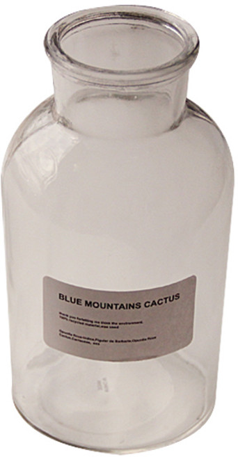 리버그린 시약병 넓은입구 1L, 투명