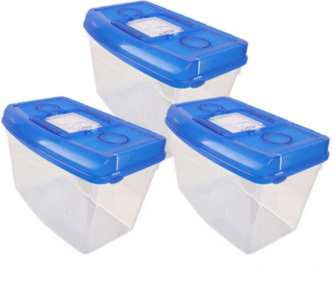 대일상사 라운드 채집통 중, 파랑, 3개