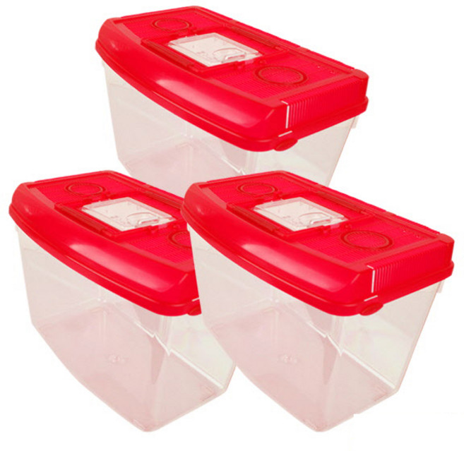 DAEIL 라운드 채집통 중, 레드, 3개