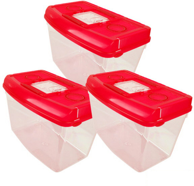 대일 라운드 채집통 특대, 레드, 3개